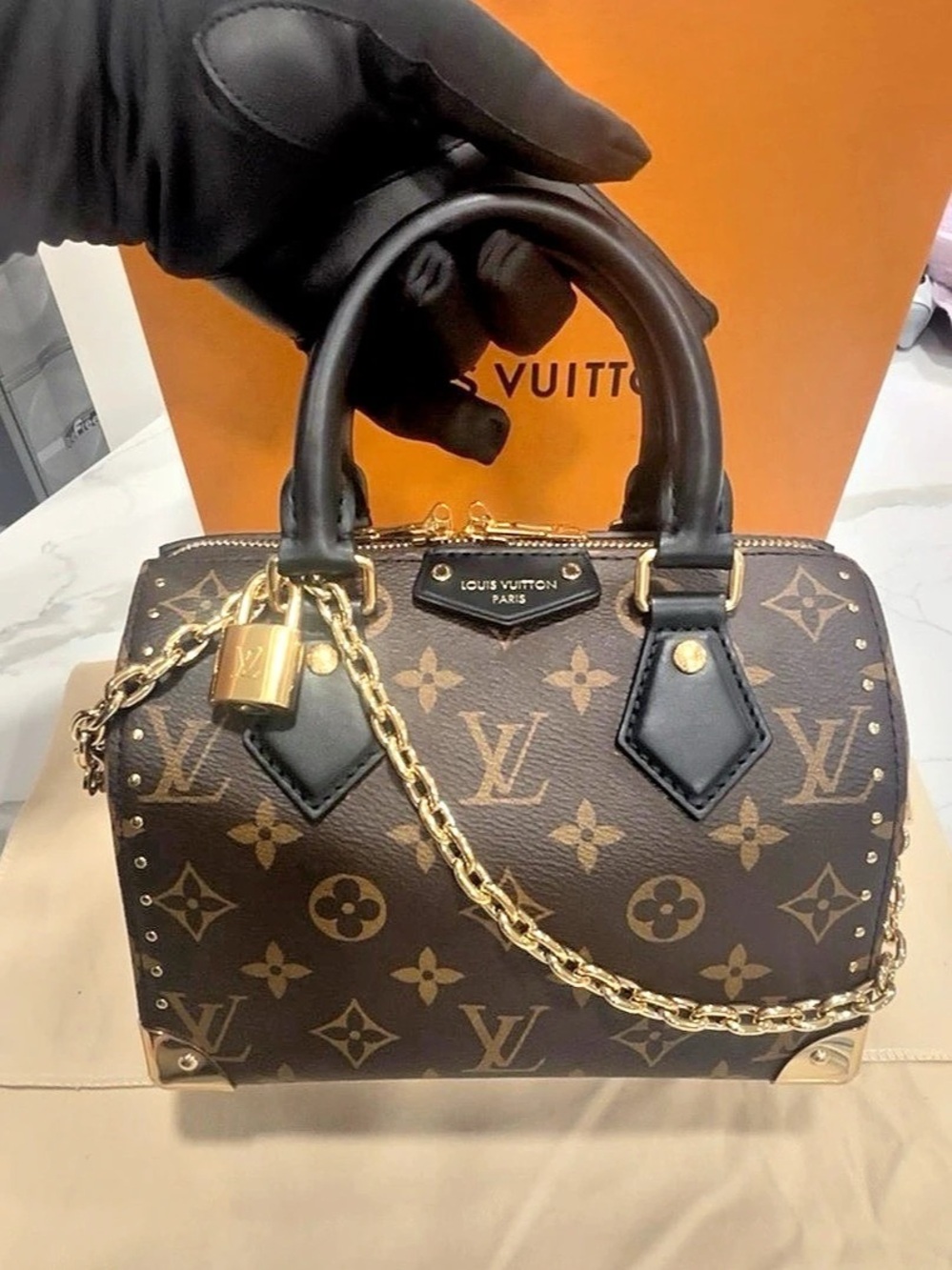 Louis Vuitton Speedy Trunk 20